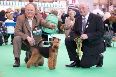 Welsh attitude - Crufts 2011